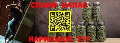 гидра Кохма