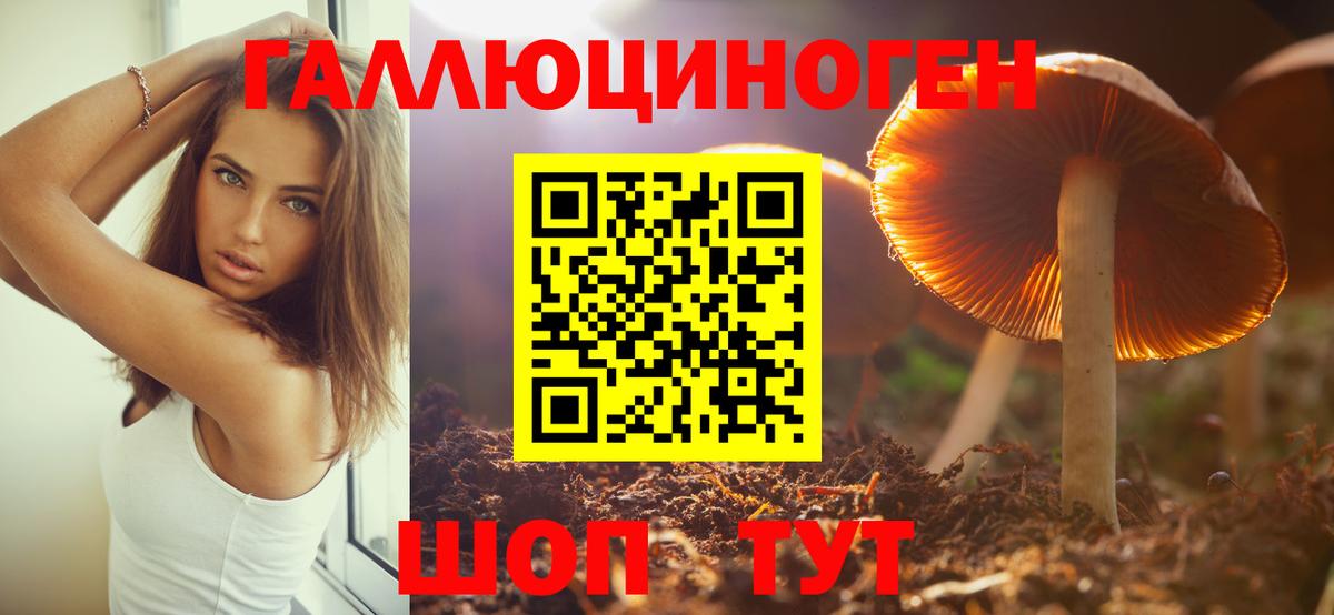 Псилоцибиновые грибы прущие грибы  Вход с VPN  Железноводск  Псилоцибиновые грибы MAGIC MUSHROOMS 